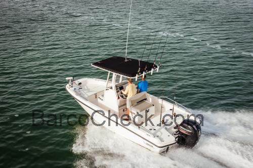 Boston Whaler 210 Dauntless ficha tecnica